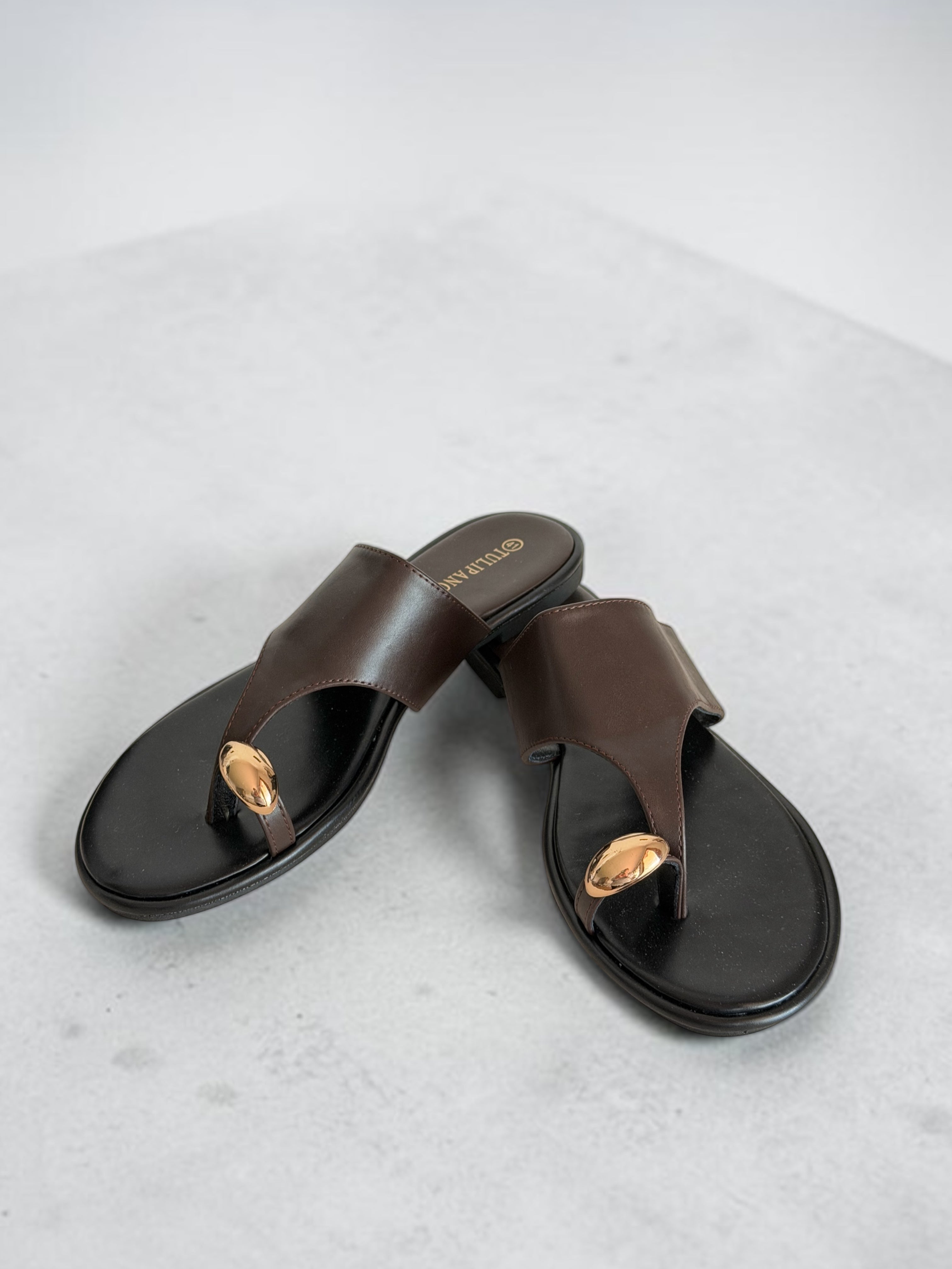 Ciabattina Brown